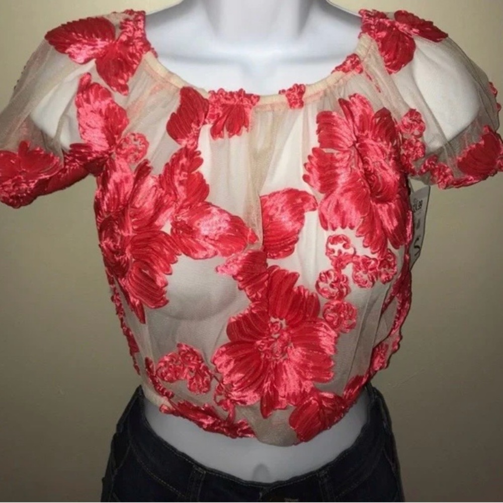Elegant Coral and Nude Floral Sheer Crop Top